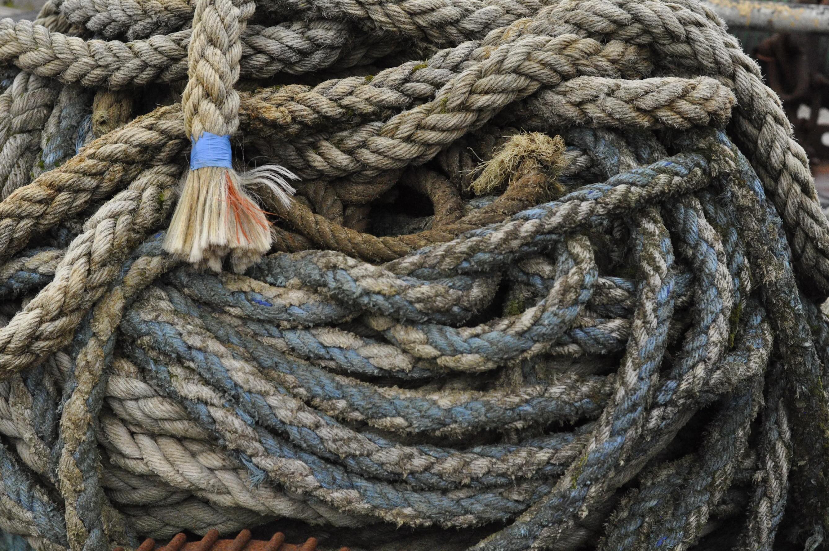 Is Your Company’s Problem Complicated? Or Complex?